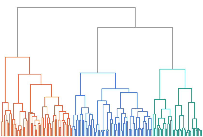 Ward-linkage dendrogram of ALPNs clustered by NBLAST