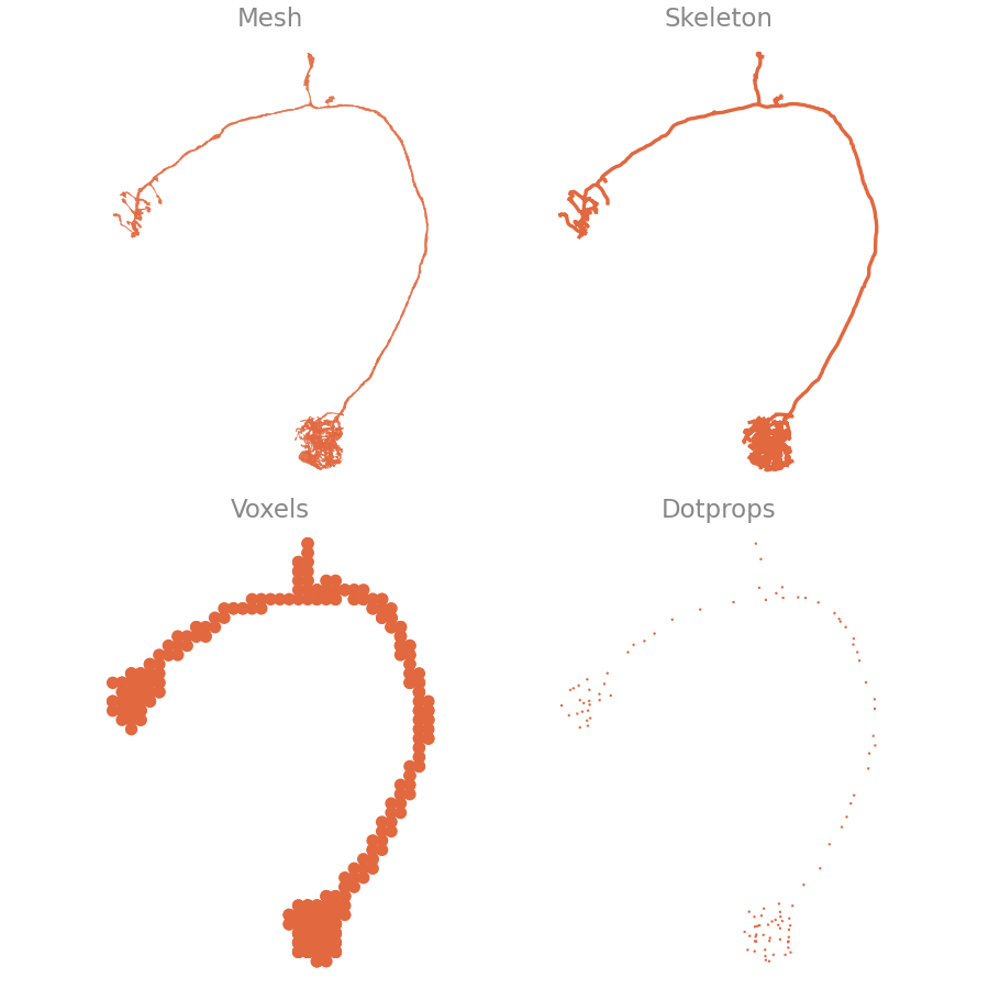 The same neuron as mesh, skeleton, voxels and dotprops