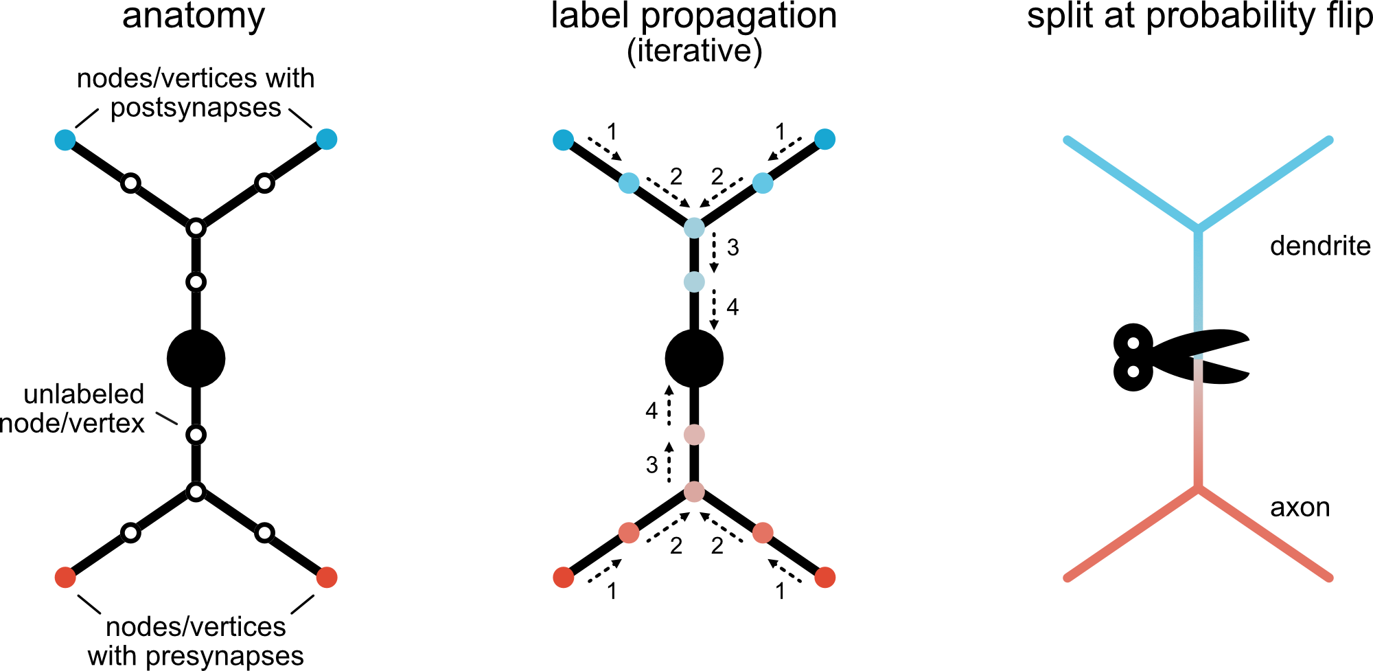 Label Propagation Split