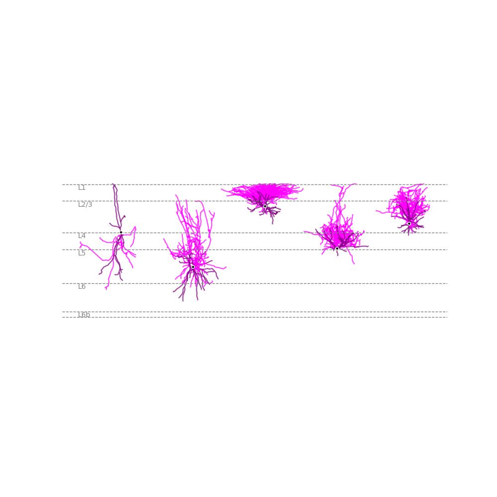 tutorial plotting 06 cortex