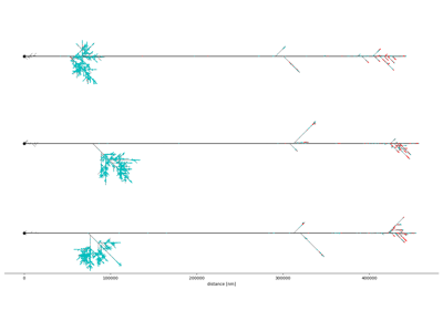 Neuron Topology