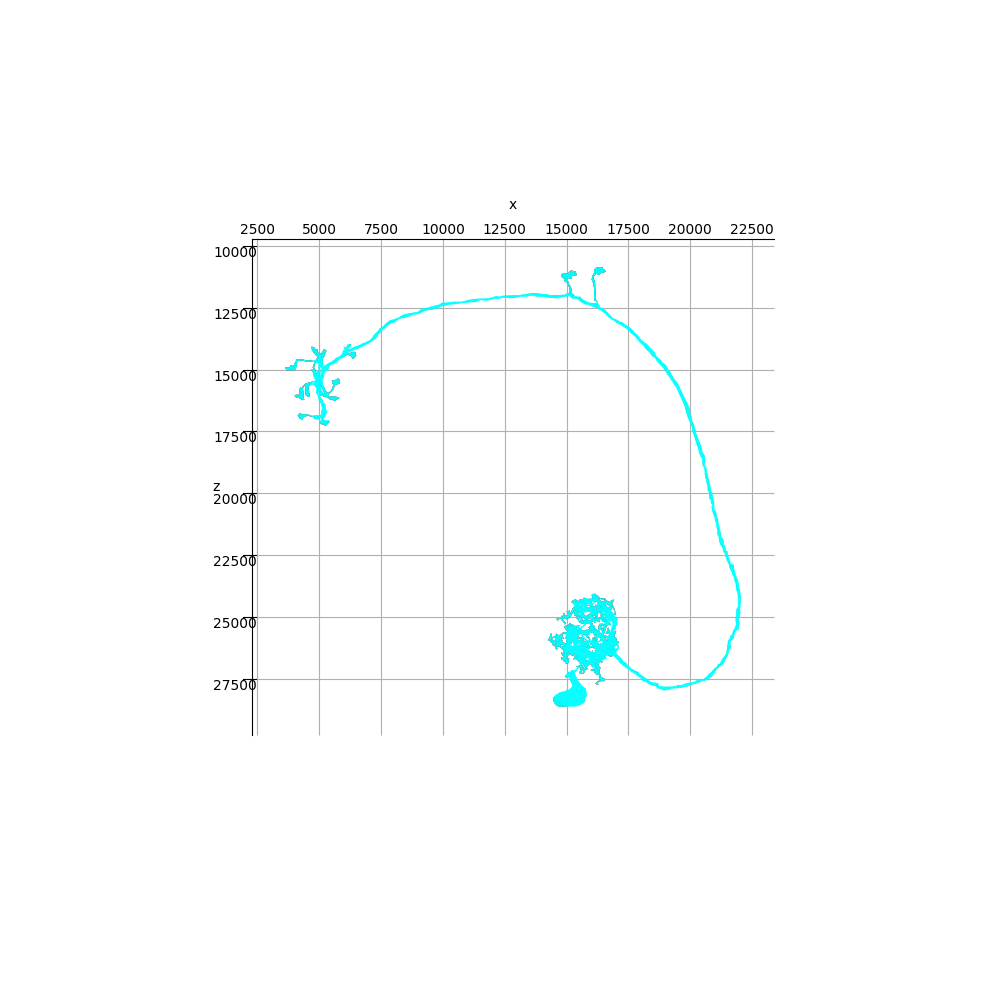 plot 00 morpho manipulate