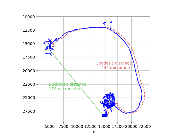 plot 01 morpho analyze