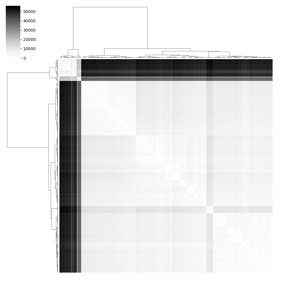 plot 01 morpho analyze