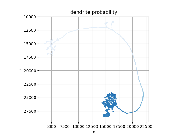 dendrite probability