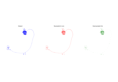 Manipulate Morphology