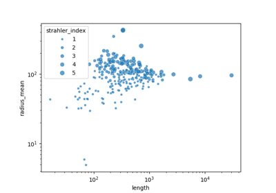 Analyzing Neuron Morphology