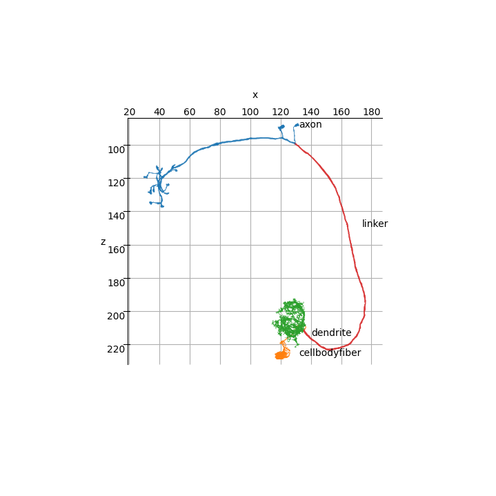 plot 00 interfaces neuron