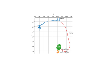 NEURON simulator