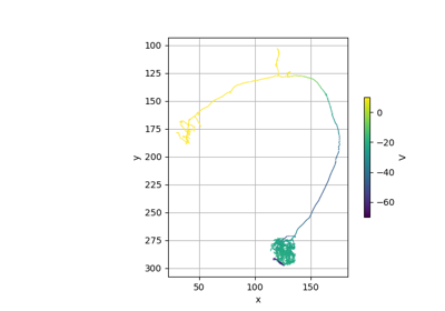 Visualize NEURON model
