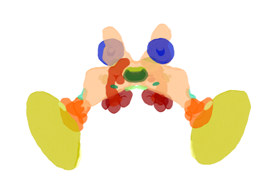 Insect Brain DB