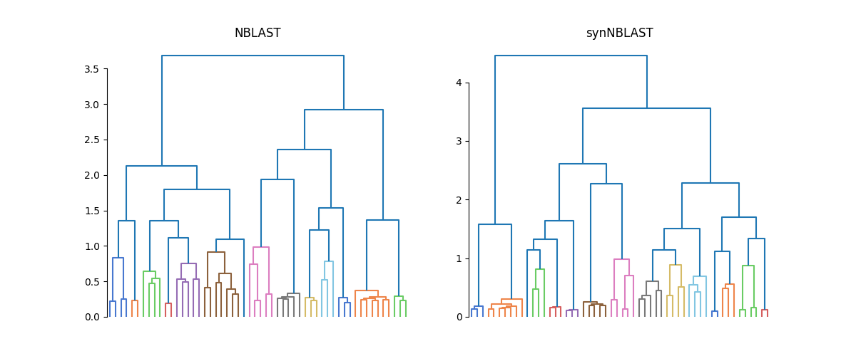 NBLAST, synNBLAST