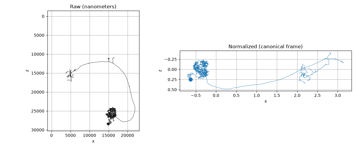 Raw (nanometers), Normalized (canonical frame)
