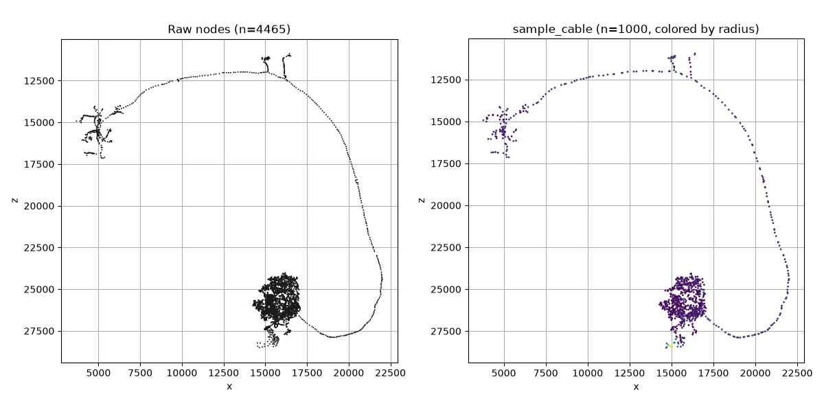 Raw nodes (n=4465), sample_cable (n=1000, colored by radius)