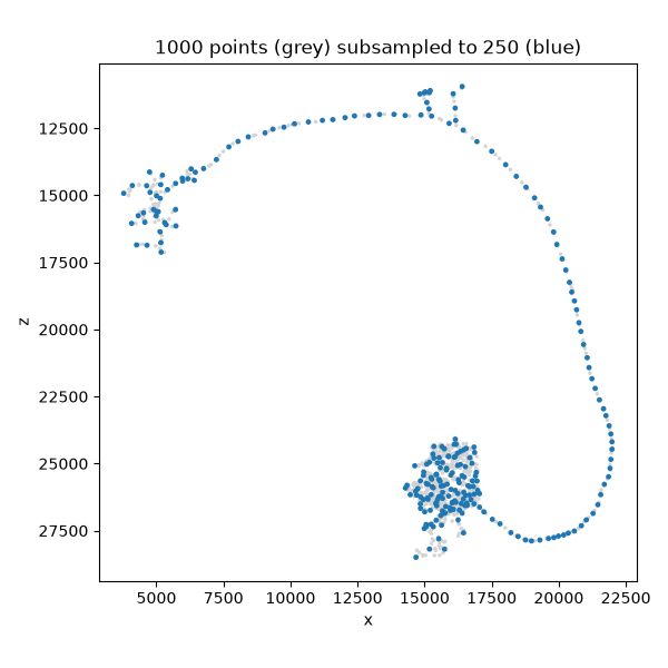 1000 points (grey) subsampled to 250 (blue)