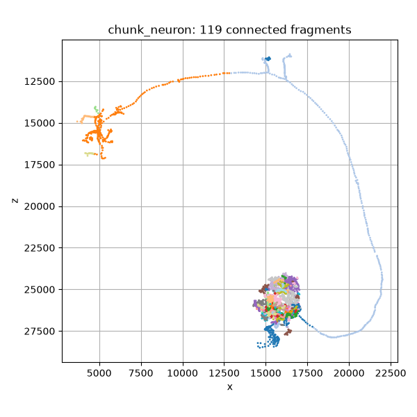 chunk_neuron: 119 connected fragments