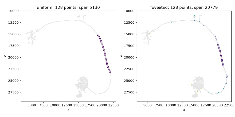 uniform: 128 points, span 5130, foveated: 128 points, span 20779