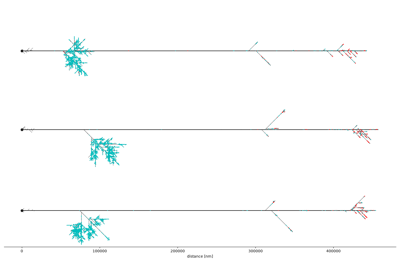 Neuron Topology