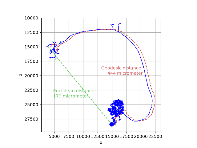 tutorial morpho 01 analyze