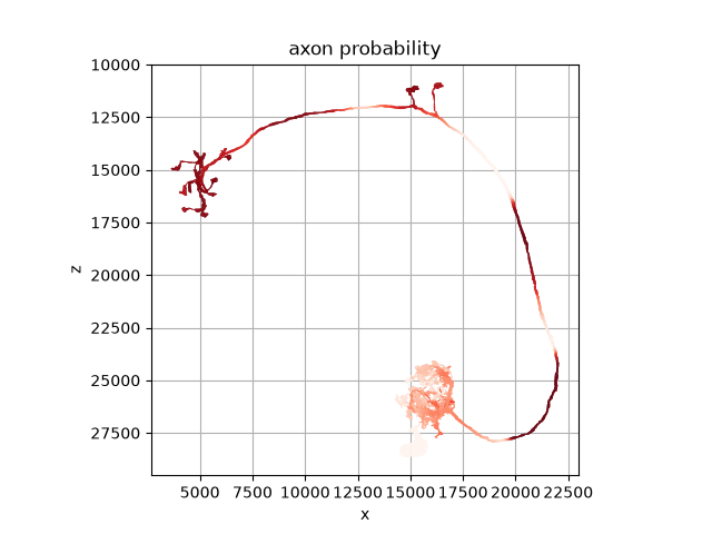 axon probability