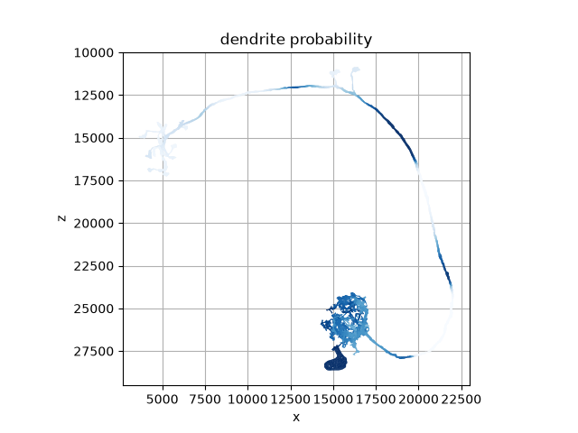 dendrite probability