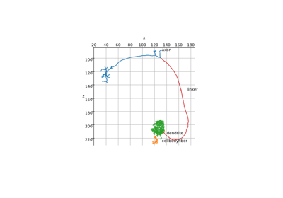 NEURON simulator