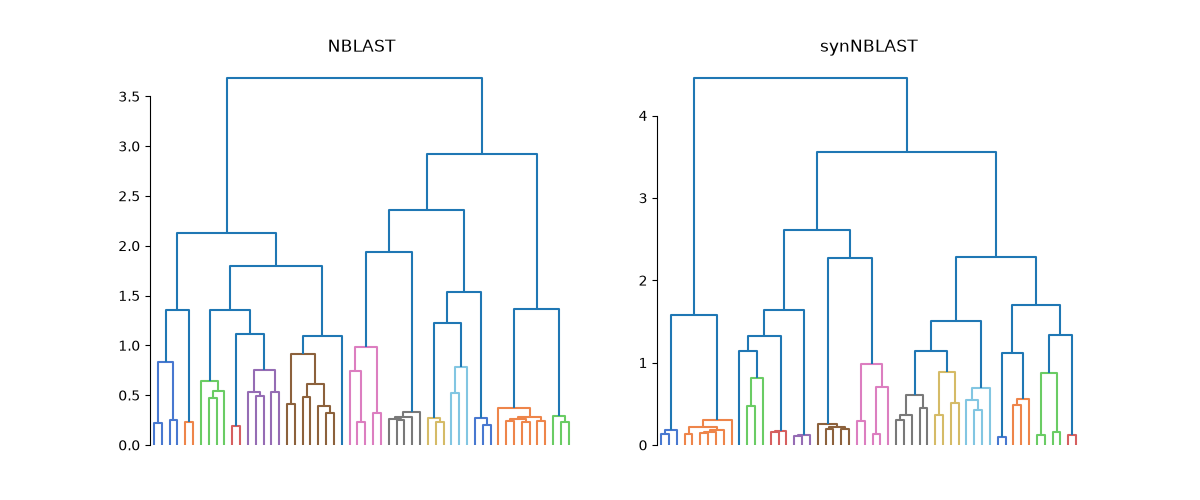 NBLAST, synNBLAST