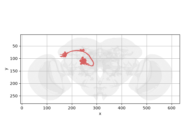 tutorial misc 01 transforms